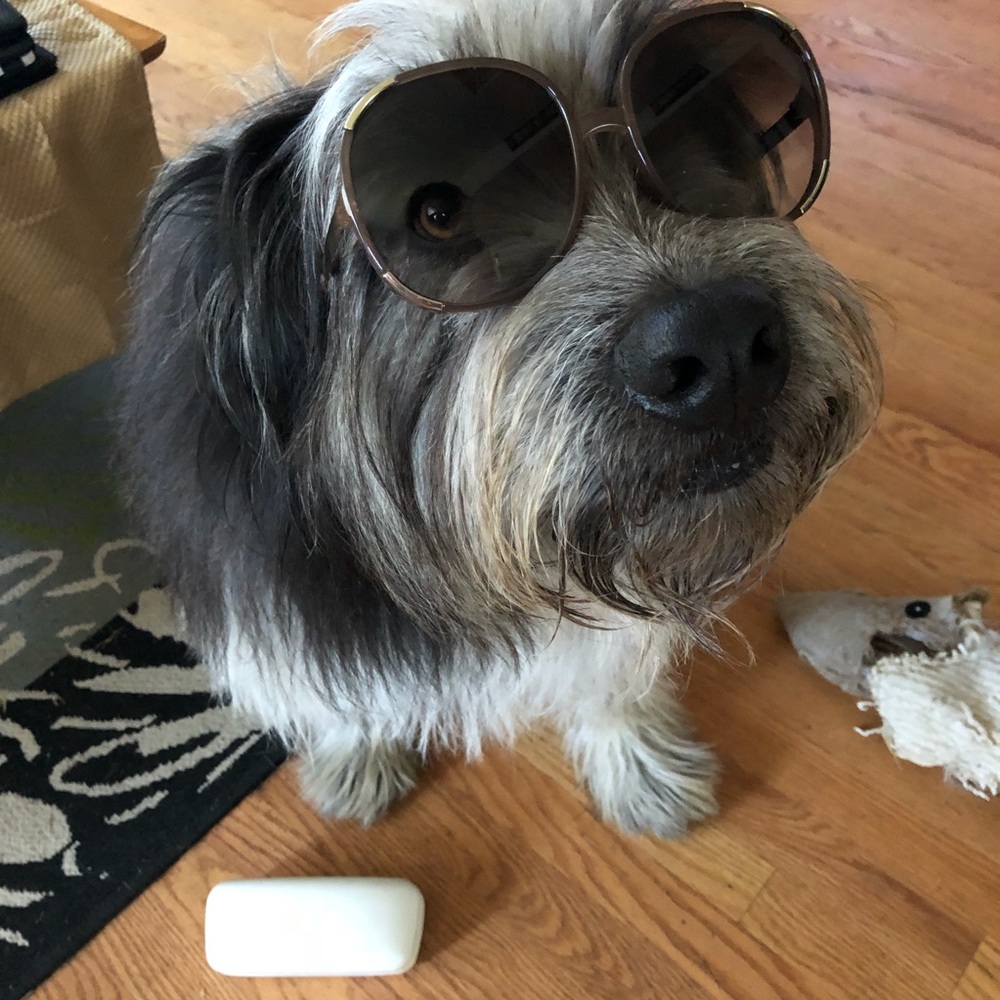 Chloe sunglasses